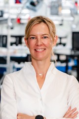 Sandra Stein